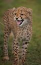 Filename=WY2U5283.jpeg
Filesize=217KiB
Dimensions=1302x2048
Date added=Jun 24, 2023 WY2U5283.jpeg