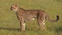 Filename=WY2U5448.jpeg
Filesize=464KiB
Dimensions=2048x1172
Date added=Jun 24, 2023 WY2U5448.jpeg