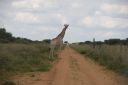 Filename=WY2U5463.jpeg
Filesize=228KiB
Dimensions=2048x1365
Date added=Jun 24, 2023 WY2U5463.jpeg