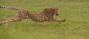 Filename=WY2U5504.jpeg
Filesize=188KiB
Dimensions=2048x923
Date added=Jun 24, 2023 WY2U5504.jpeg