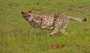 Filename=WY2U5515.jpeg
Filesize=259KiB
Dimensions=2048x1217
Date added=Jun 24, 2023 WY2U5515.jpeg