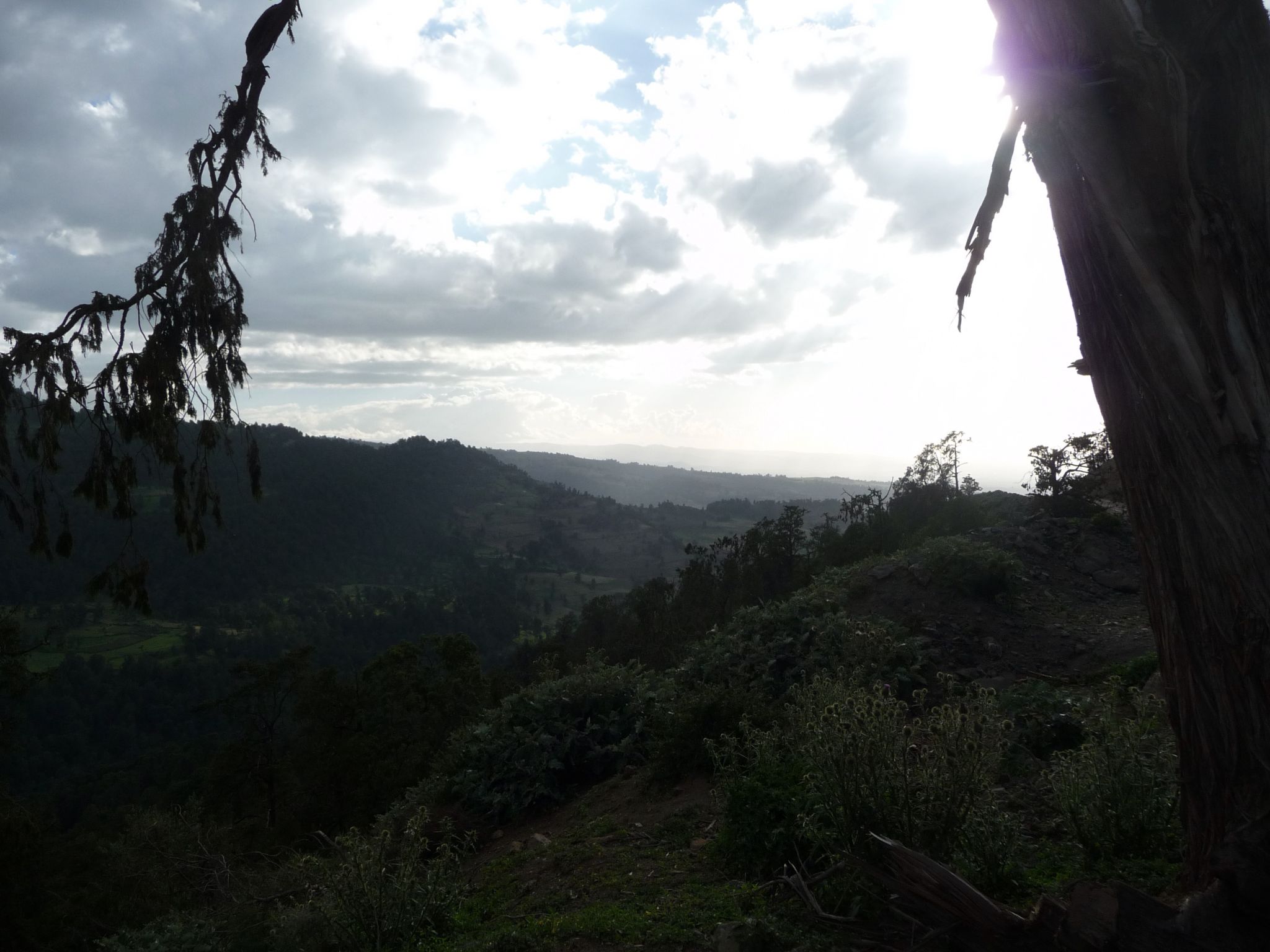 P1020299.jpeg