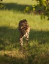 Filename=WY2U5602.jpeg
Filesize=339KiB
Dimensions=1571x2048
Date added=Jun 25, 2023 WY2U5602.jpeg