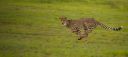 Filename=WY2U5643.jpeg
Filesize=165KiB
Dimensions=2048x922
Date added=Jun 25, 2023 WY2U5643.jpeg