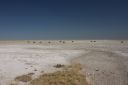 Filename=CRW_1359.jpeg
Filesize=345KiB
Dimensions=2048x1365
Date added=Jun 24, 2023 CRW_1359.jpeg