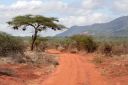 Filename=EMT-Kenya2006-03.jpeg
Filesize=531KiB
Dimensions=2000x1333
Date added=Jun 25, 2023 EMT-Kenya2006-03.jpeg