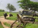 Filename=EMT-Kenya2006-32.jpeg
Filesize=167KiB
Dimensions=1024x768
Date added=Jun 25, 2023 EMT-Kenya2006-32.jpeg