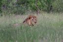 Filename=EMT-Kenya2006-38.jpeg
Filesize=504KiB
Dimensions=2000x1343
Date added=Jun 25, 2023 EMT-Kenya2006-38.jpeg