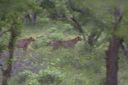 Filename=WY2U5866-01.jpeg
Filesize=239KiB
Dimensions=2048x1363
Date added=Jun 25, 2023 WY2U5866-01.jpeg
