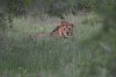 Filename=WY2U5969-01.jpeg
Filesize=297KiB
Dimensions=2048x1363
Date added=Jun 25, 2023 WY2U5969-01.jpeg