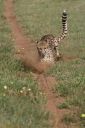 Filename=WY2U6714.jpeg
Filesize=328KiB
Dimensions=1365x2048
Date added=Jun 24, 2023 WY2U6714.jpeg