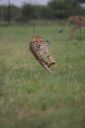 Filename=WY2U6745.jpeg
Filesize=179KiB
Dimensions=1365x2048
Date added=Jun 24, 2023 WY2U6745.jpeg