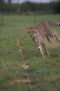 Filename=WY2U6758.jpeg
Filesize=194KiB
Dimensions=1365x2048
Date added=Jun 24, 2023 WY2U6758.jpeg
