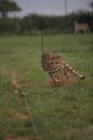 Filename=WY2U6774.jpeg
Filesize=169KiB
Dimensions=1365x2048
Date added=Jun 24, 2023 WY2U6774.jpeg
