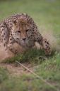 Filename=WY2U6794.jpeg
Filesize=214KiB
Dimensions=1365x2048
Date added=Jun 24, 2023 WY2U6794.jpeg