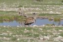 Filename=WY2U7397.jpeg
Filesize=334KiB
Dimensions=2048x1365
Date added=Jun 24, 2023 WY2U7397.jpeg