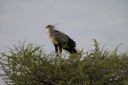 Filename=WY2U7447.jpeg
Filesize=355KiB
Dimensions=2048x1365
Date added=Jun 24, 2023 WY2U7447.jpeg