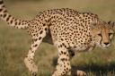 Filename=WY2U7908.jpeg
Filesize=241KiB
Dimensions=2048x1365
Date added=Jun 24, 2023 WY2U7908.jpeg