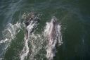 Filename=WY2U8634.jpeg
Filesize=442KiB
Dimensions=2048x1365
Date added=Jun 24, 2023 WY2U8634.jpeg