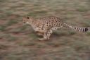 Filename=WY2U8836.jpeg
Filesize=230KiB
Dimensions=2048x1365
Date added=Jun 24, 2023 WY2U8836.jpeg