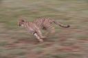 Filename=WY2U9264.jpeg
Filesize=198KiB
Dimensions=2048x1365
Date added=Jun 24, 2023 WY2U9264.jpeg