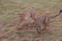 Filename=WY2U9279.jpeg
Filesize=268KiB
Dimensions=2048x1365
Date added=Jun 24, 2023 WY2U9279.jpeg