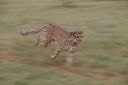 Filename=WY2U9431.jpeg
Filesize=155KiB
Dimensions=2048x1365
Date added=Jun 24, 2023 WY2U9431.jpeg