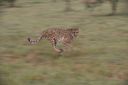 Filename=WY2U9438.jpeg
Filesize=186KiB
Dimensions=2048x1365
Date added=Jun 24, 2023 WY2U9438.jpeg