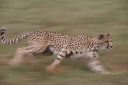 Filename=WY2U9449.jpeg
Filesize=177KiB
Dimensions=2048x1365
Date added=Jun 24, 2023 WY2U9449.jpeg