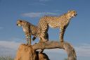 Filename=WY2U9549.jpeg
Filesize=258KiB
Dimensions=2048x1365
Date added=Jun 24, 2023 WY2U9549.jpeg