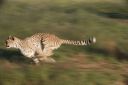 Filename=WY2U0626.jpeg
Filesize=205KiB
Dimensions=2048x1365
Date added=Jun 25, 2023 WY2U0626.jpeg