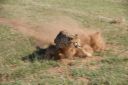Filename=WY2U0781.jpeg
Filesize=326KiB
Dimensions=2048x1365
Date added=Jun 25, 2023 WY2U0781.jpeg