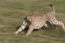 Filename=WY2U0927.jpeg
Filesize=234KiB
Dimensions=2048x1365
Date added=Jun 25, 2023 WY2U0927.jpeg