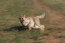 Filename=WY2U0935.jpeg
Filesize=242KiB
Dimensions=2048x1365
Date added=Jun 25, 2023 WY2U0935.jpeg