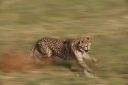 Filename=WY2U0963.jpeg
Filesize=207KiB
Dimensions=2048x1365
Date added=Jun 25, 2023 WY2U0963.jpeg