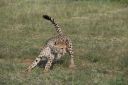 Filename=WY2U1005.jpeg
Filesize=338KiB
Dimensions=2048x1365
Date added=Jun 25, 2023 WY2U1005.jpeg