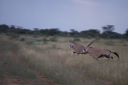 Filename=WY2U1247.jpeg
Filesize=120KiB
Dimensions=2048x1365
Date added=Jun 25, 2023 WY2U1247.jpeg